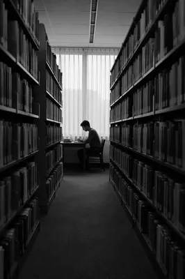Quiet Library Study Aisle in Grayscale