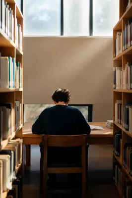 Quiet Library Study with Morning Light