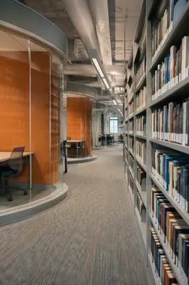 Quiet Modern Library Study Shelves