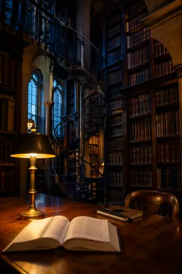Quiet Historic Library Study Desk
