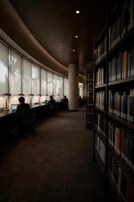 Quiet Library Study Area with Warm Light