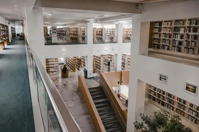 Quiet Modern Library Atrium for Studying