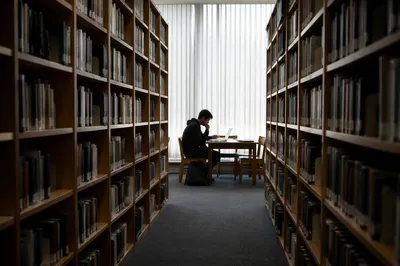 Quiet Library Aisle Study Scene