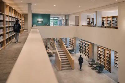 Quiet Modern Library Study Interior