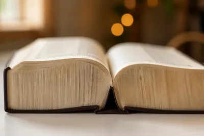 Open Dictionary Pages Close-Up on Desk