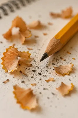 Close-Up Pencil Shavings on Study Desk
