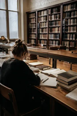 Quiet Student Studying in University Library