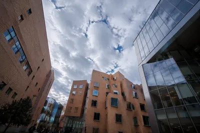 Modern University Courtyard with Students