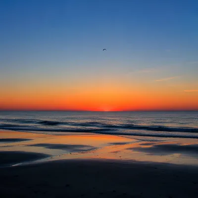 Eternal Sunrise Over Calm Ocean Horizon