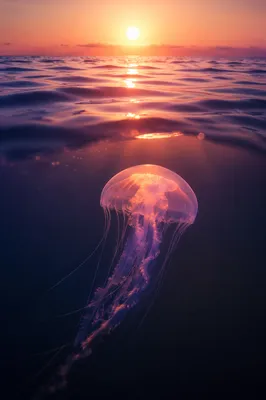 Eternal Life Sunrise Over Endless Ocean