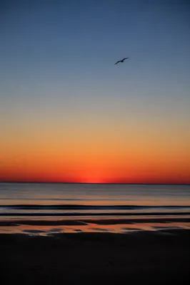 Eternal Life Sunrise Over Calm Ocean