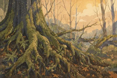 Faithful Ancient Tree with Deep Mossy Roots