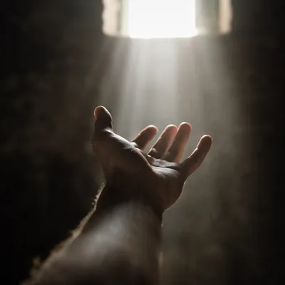 Open Hand Releasing Toward Window Light