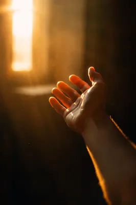 Open Hand Releasing Toward Warm Light
