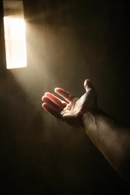 Open Hand Releasing Into Forgiving Light