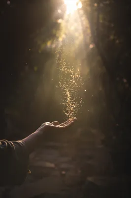 Open Hand Releasing Dust in Sunlight