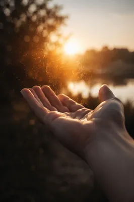 Open Hand Releasing Forgiveness at Sunset