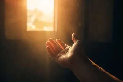 Open Hand Releasing Toward Warm Window Light