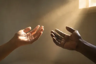 Gentle Hands Opening in Morning Light
