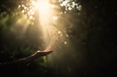 Hand Releasing Dust Into Forgiving Light