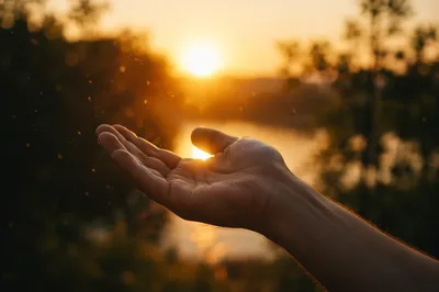 Open Hand Releasing Forgiveness in Golden Light