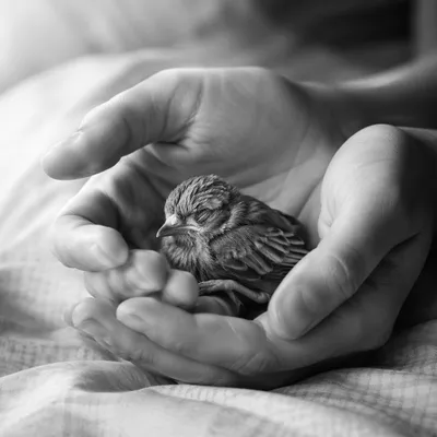 Gentle Hands Cradling Fragile Songbird