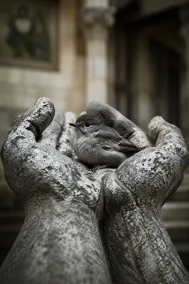Stone Hands Cradling Bird in God’s Love