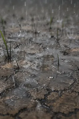 Grace Rain Restoring Cracked Dry Earth