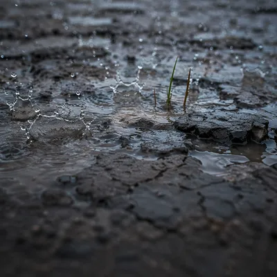 Grace Rain Reviving Cracked Dry Earth