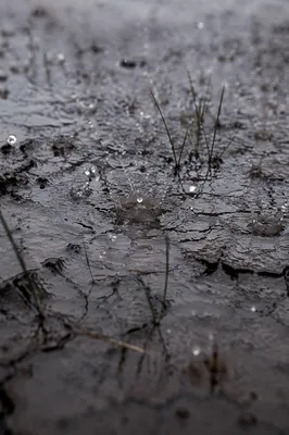 Grace Rain Restoring Cracked Dry Earth