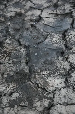 Grace Rain on Parched Cracked Earth
