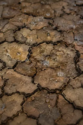 Grace Rain on Cracked Dry Earth