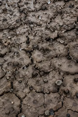 Gentle Grace Rain on Cracked Earth