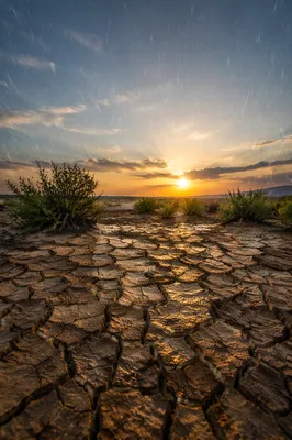 Graceful Rain Over Cracked Dry Earth