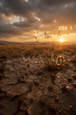 First Rain on Cracked Dry Earth