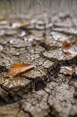Grace Rain on Cracked Dry Earth