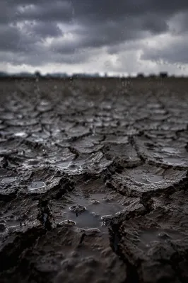 Grace Rain on Cracked Dry Earth