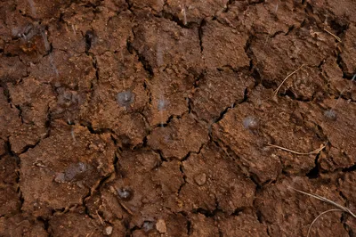 Grace Rain on Cracked Dry Earth