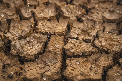 Grace Rain on Cracked Dry Earth