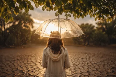 Grace Rain Over Cracked Earth