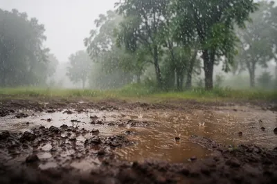Grace Rain Renewing Parched Earth