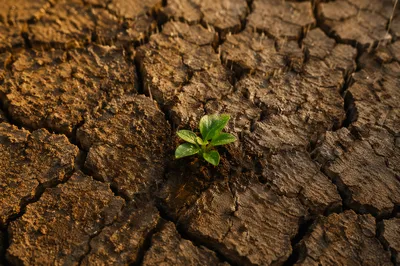 Grace Rain Renewing Parched Earth
