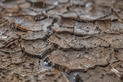 Grace Rain on Cracked Dry Earth