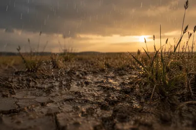 First Rain on Cracked Dry Earth