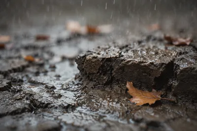 Gentle Grace Rain on Cracked Earth