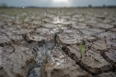 Grace Rain Reviving Cracked Dry Earth