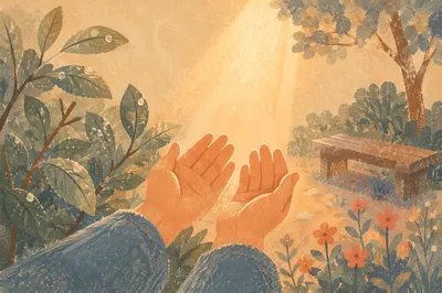 Open Hands Receiving Morning Sunlight