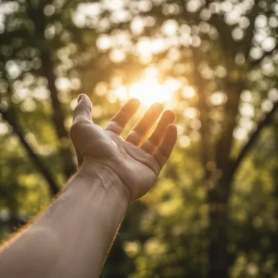Open Hand Receiving Golden Sunlight