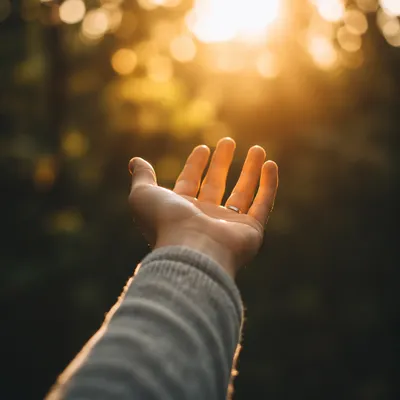 Open Hand Receiving Golden Sunlight