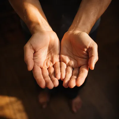 Open Hands Receiving Warm Sunlight